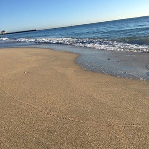 Meet your Posher, Elle